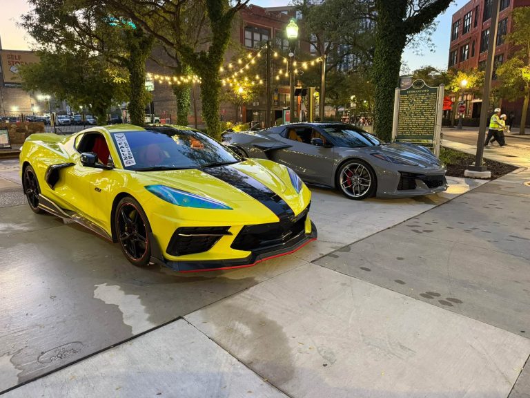 Vettes in The Park 2025