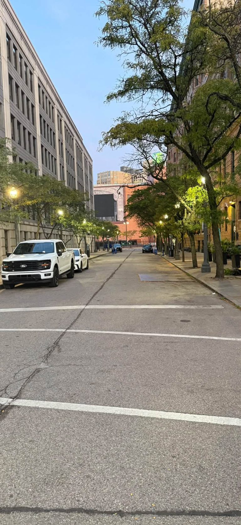 Vettes in The Park 2025