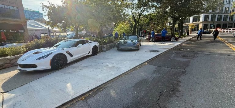 Vettes in The Park 2025