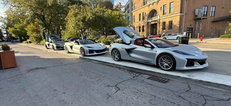 Vettes in The Park 2025
