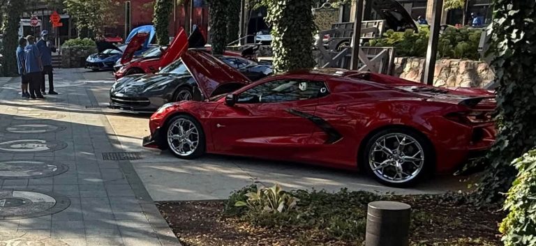 Vettes in The Park 2025