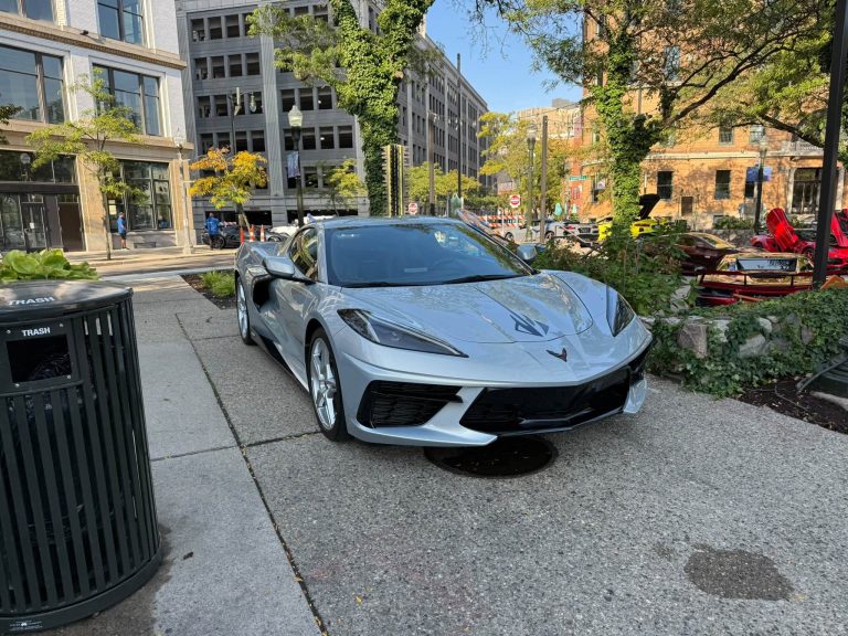 Vettes in The Park 2025