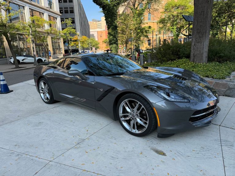 Vettes in The Park 2025