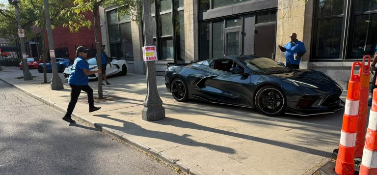 Vettes in The Park 2025