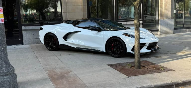 Vettes in The Park 2025