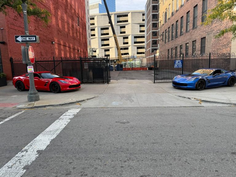 Vettes in The Park 2025