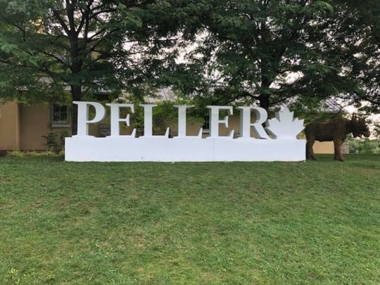 CCCoM @ Peller Estates Vineyard