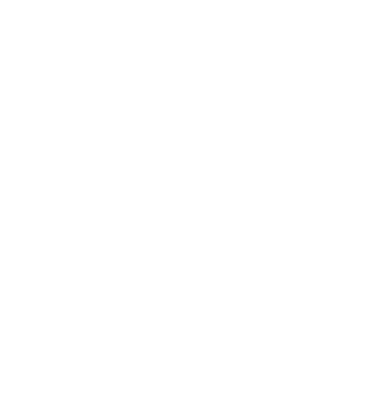Turning Point logo
