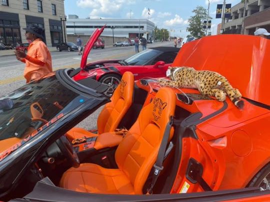 CCCoM supporting 2021 Corvette Reunion at “Back to the Bricks”