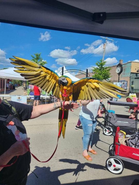 CCCoM supporting the Belleville Lake Fest